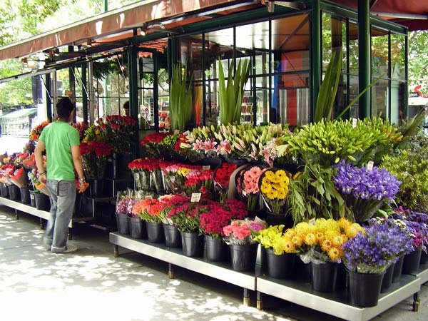 Florist Brienz